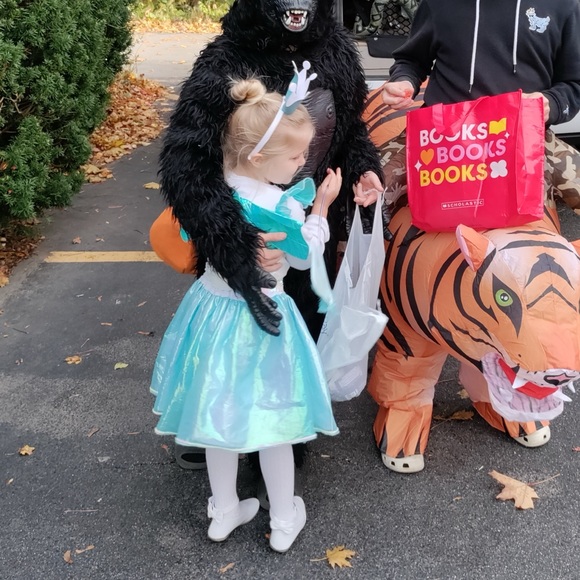 Tooth Fairy Costume iridescent Blue White Fairy Costume size small - Picture 2 of 8